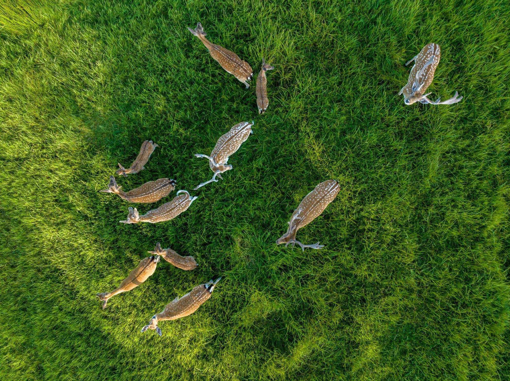Vila Siedlisko Leszczewek Exteriér fotografie