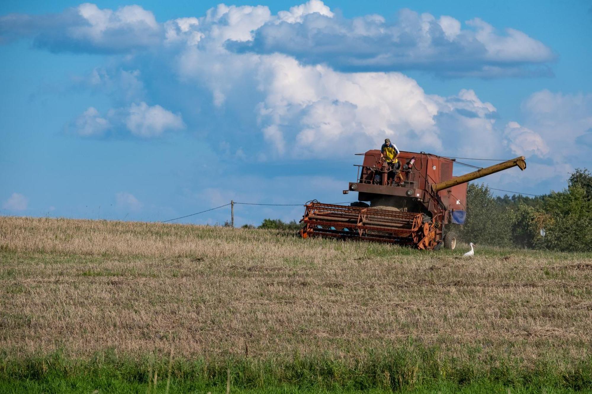 Vila Siedlisko Leszczewek Exteriér fotografie