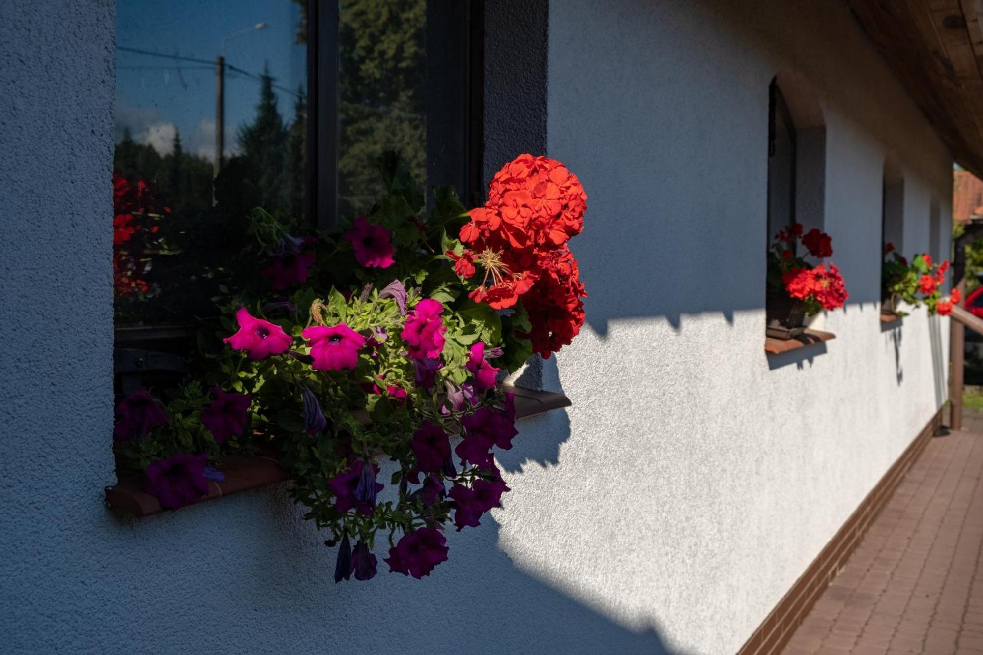 Vila Siedlisko Leszczewek Exteriér fotografie